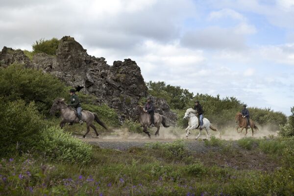 icelandic horse riding Atlantik Iceland Bespoke luxury travel FIT DMC PCO